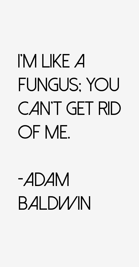 Adam Baldwin Quotes