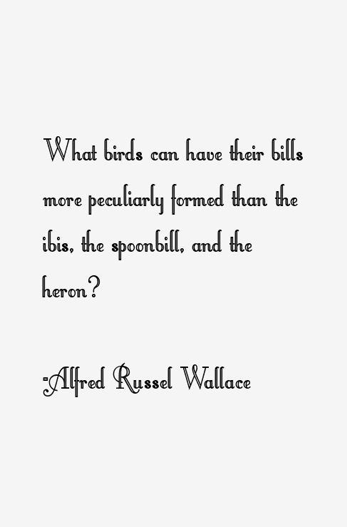 Alfred Russel Wallace Quotes