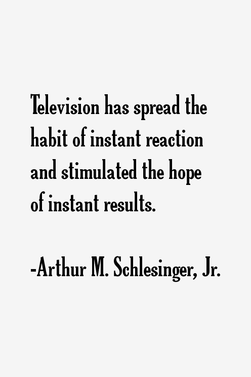 Arthur M. Schlesinger, Jr. Quotes