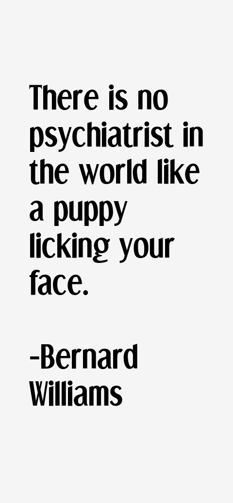 Bernard Williams Quotes