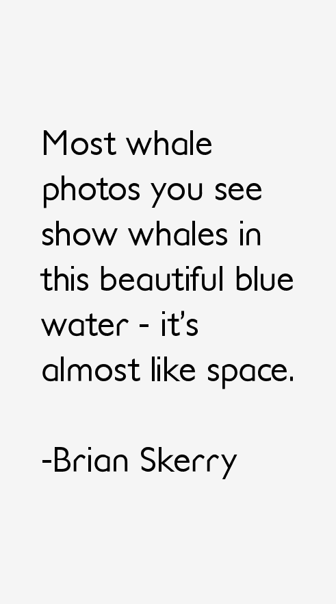 Brian Skerry Quotes