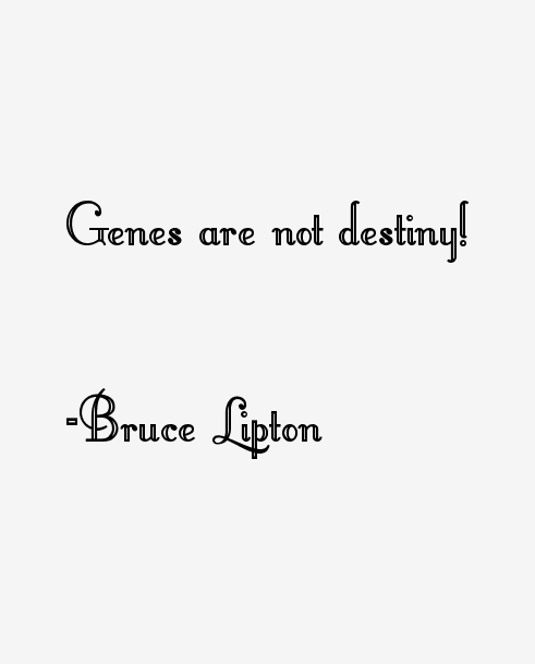 Bruce Lipton Quotes