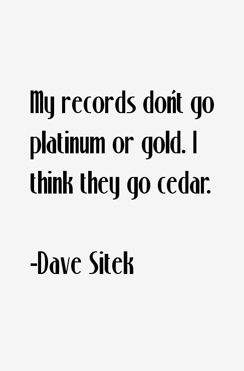 Dave Sitek Quotes