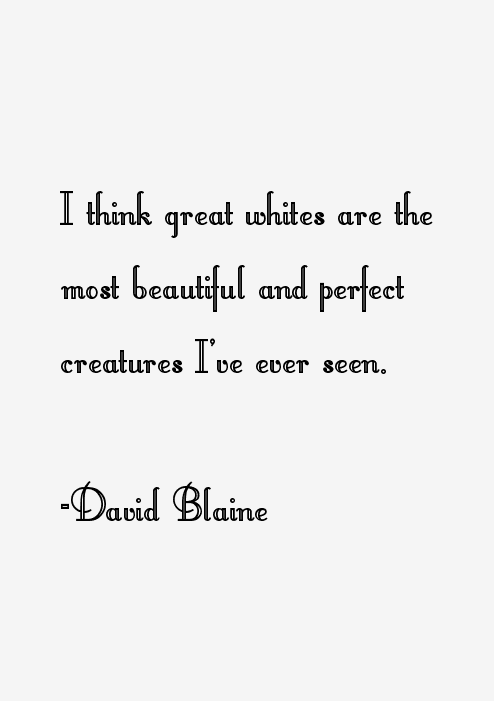 David Blaine Quotes