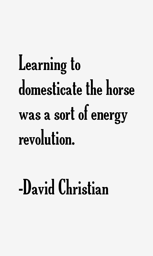 David Christian Quotes