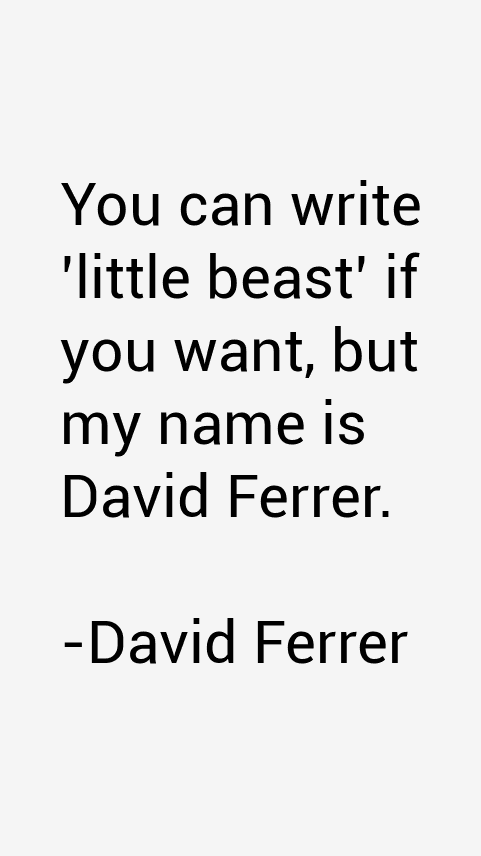 David Ferrer Quotes