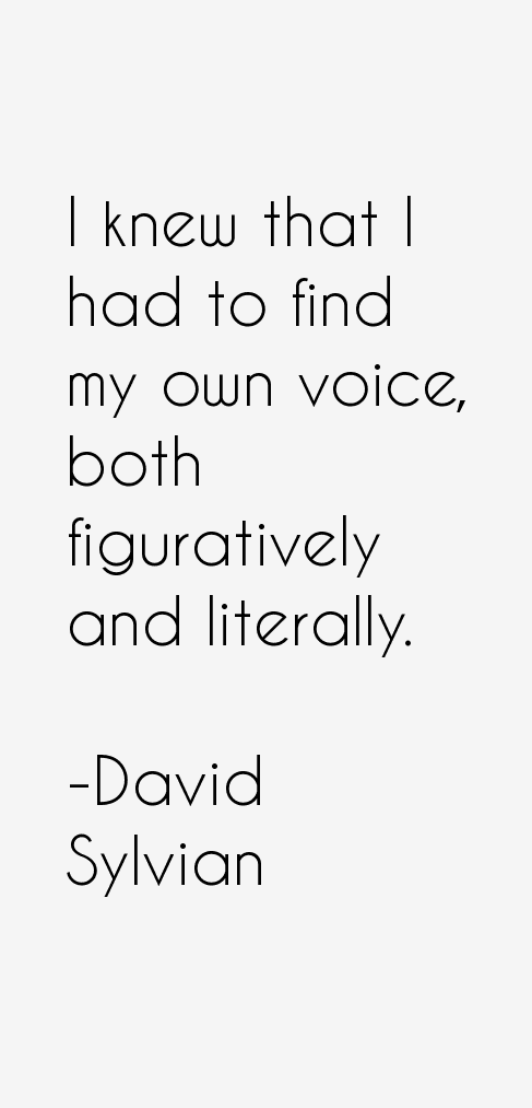 David Sylvian Quotes