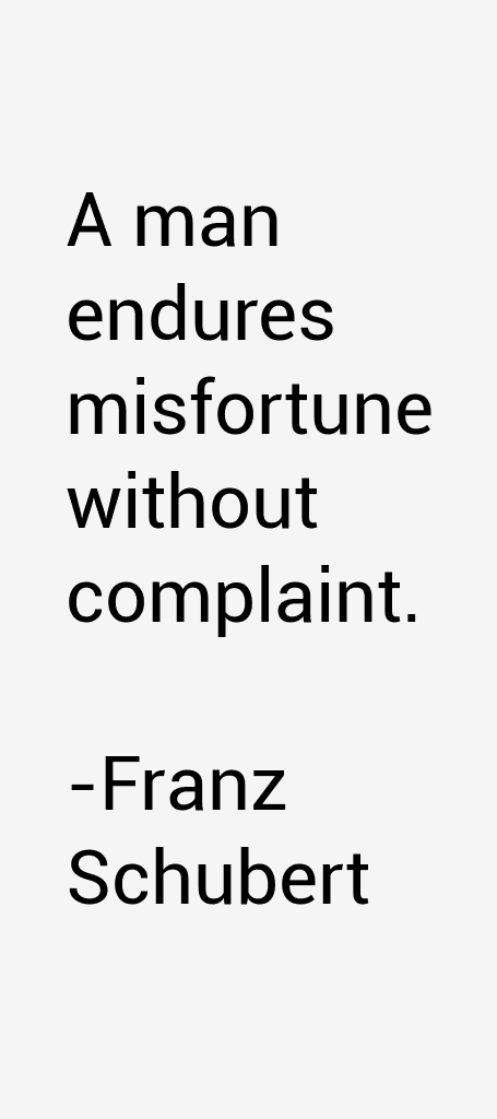 Franz Schubert Quotes