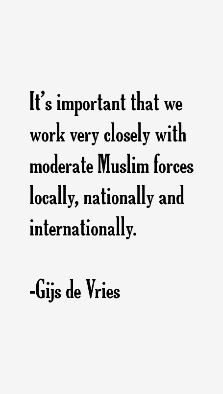 Gijs de Vries Quotes