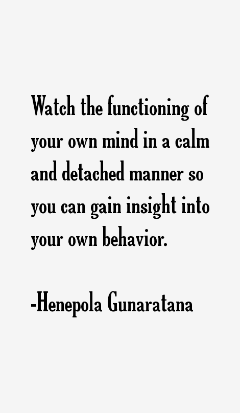 Henepola Gunaratana Quotes