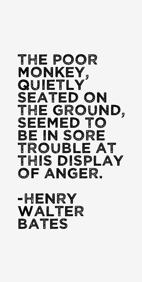 Henry Walter Bates Quotes