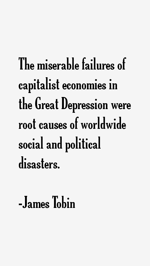 James Tobin Quotes