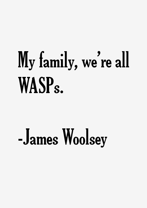 James Woolsey Quotes