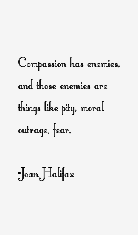 Joan Halifax Quotes
