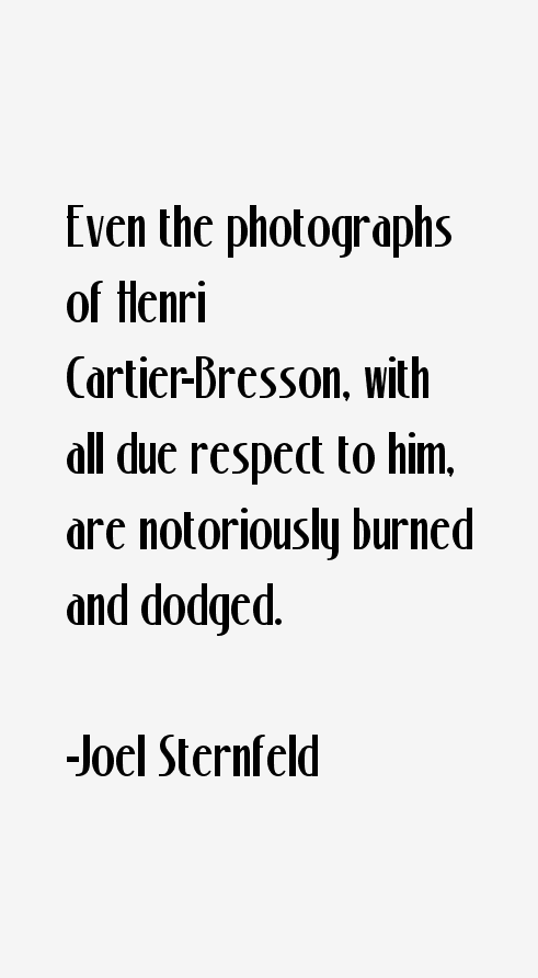Joel Sternfeld Quotes