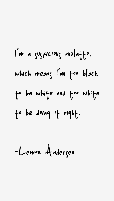 Lemon Andersen Quotes