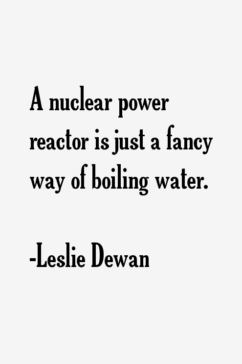 Leslie Dewan Quotes
