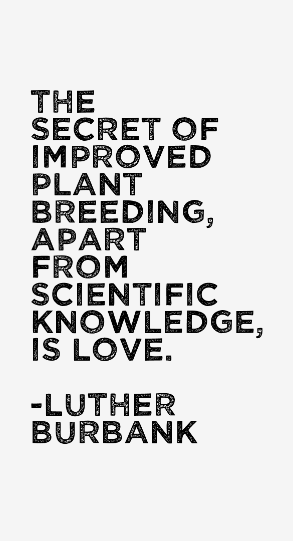 Luther Burbank Quotes