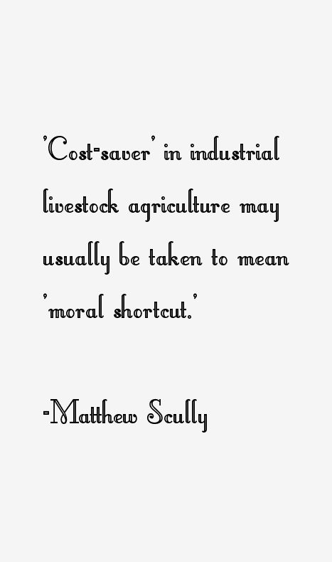 Matthew Scully Quotes