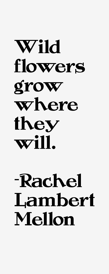 Rachel Lambert Mellon Quotes