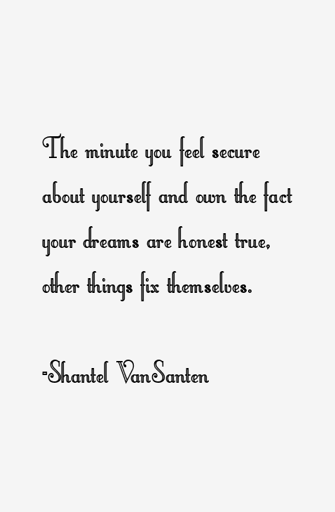 Shantel VanSanten Quotes