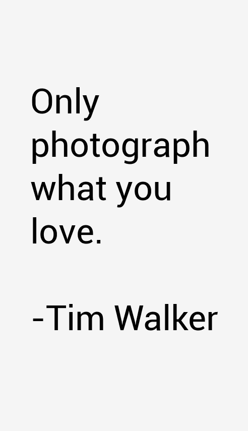 Tim Walker Quotes