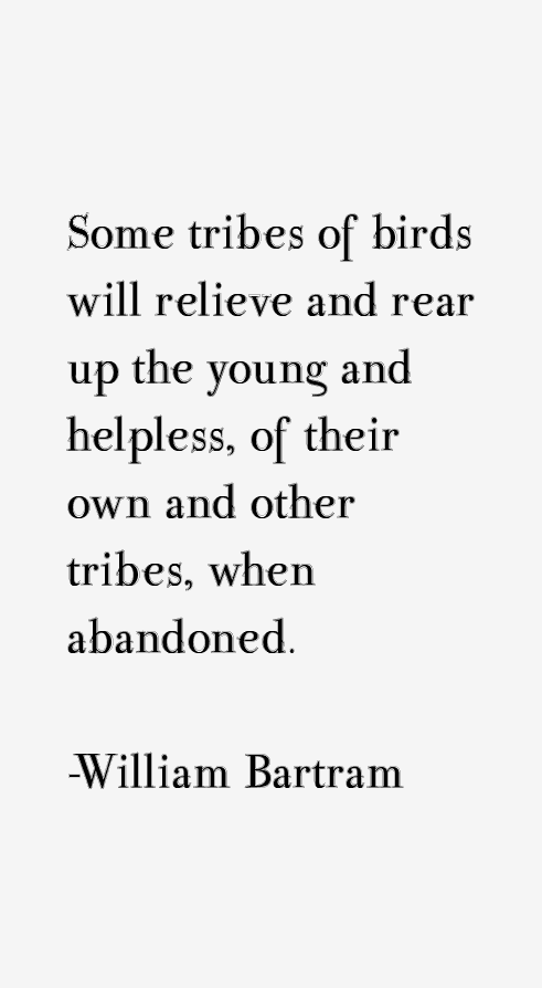 William Bartram Quotes