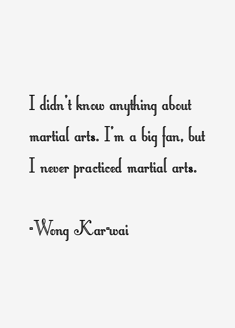 Wong Kar-wai Quotes