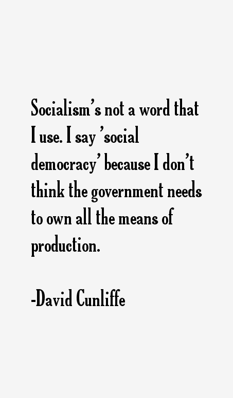 David Cunliffe Quotes