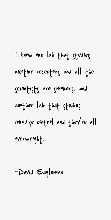 David Eagleman Quotes