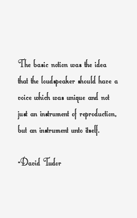 David Tudor Quotes