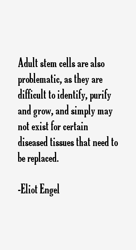 Eliot Engel Quotes