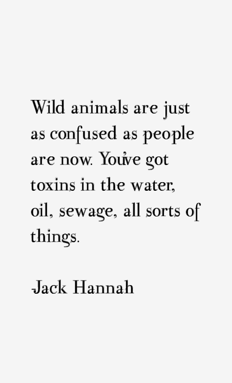 Jack Hannah Quotes