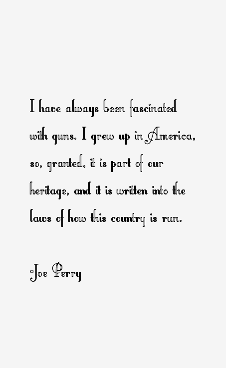 Joe Perry Quotes