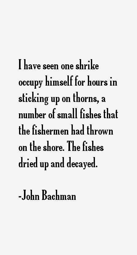 John Bachman Quotes
