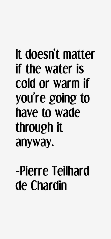 Pierre Teilhard de Chardin Quotes